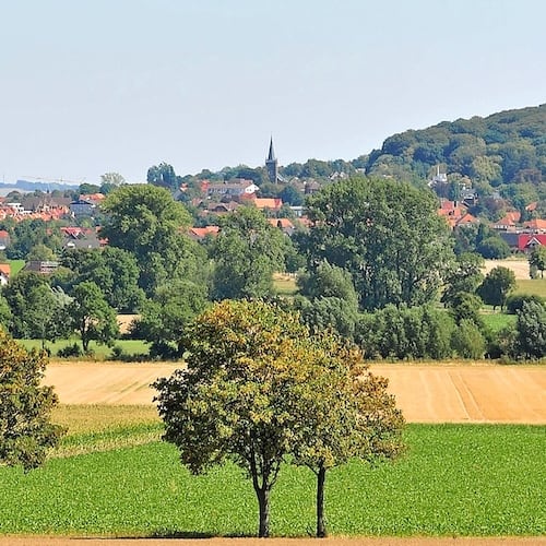 Pano